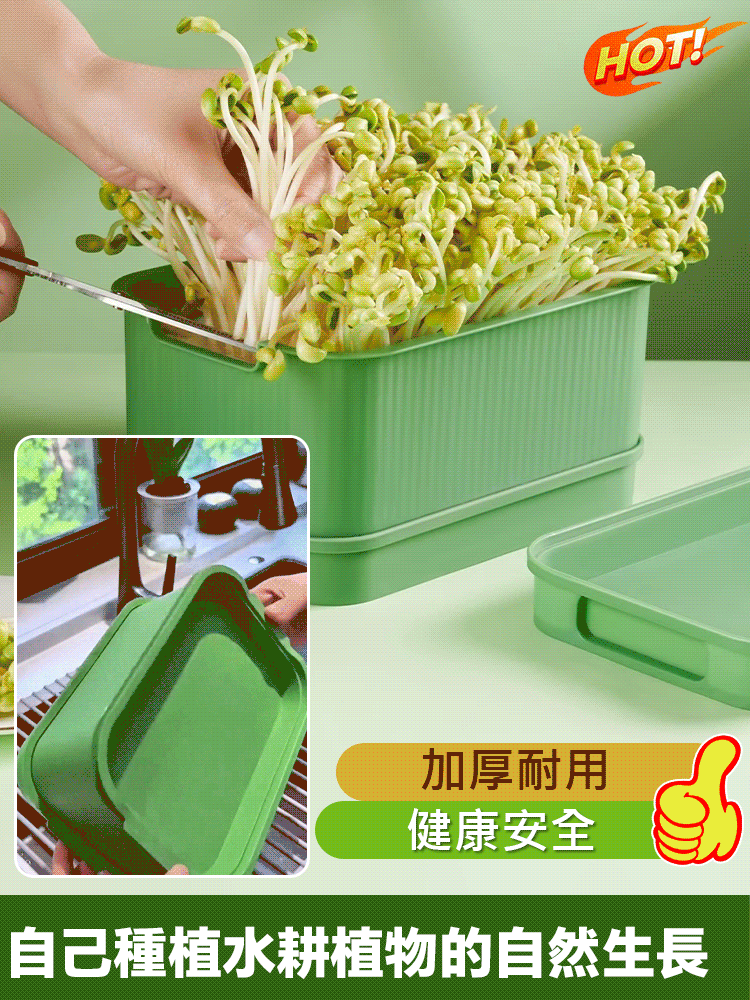 發芽專用種植盆