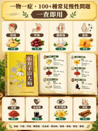 小方子治大病書籍