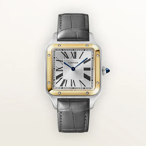 Cartier / カルティエ サントス デュモン ラージモデル 2026NEW W2SA0046  43.5 mm