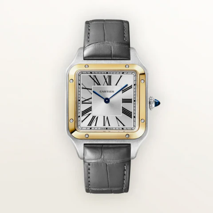 Cartier / カルティエ サントス デュモン ラージモデル 2026NEW W2SA0046  43.5 mm