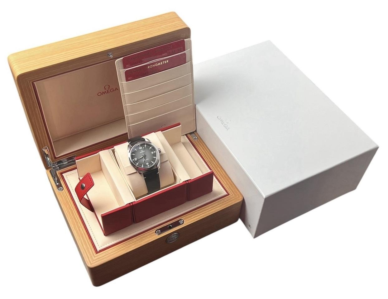 オメガ シーマスター レイルマスター Railmaster Grey Dial Steel 38mm Automatic Men’s Watch 235.12.38.20.06.001