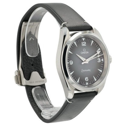 オメガ シーマスター レイルマスター Railmaster Grey Dial Steel 38mm Automatic Men’s Watch 235.12.38.20.06.001