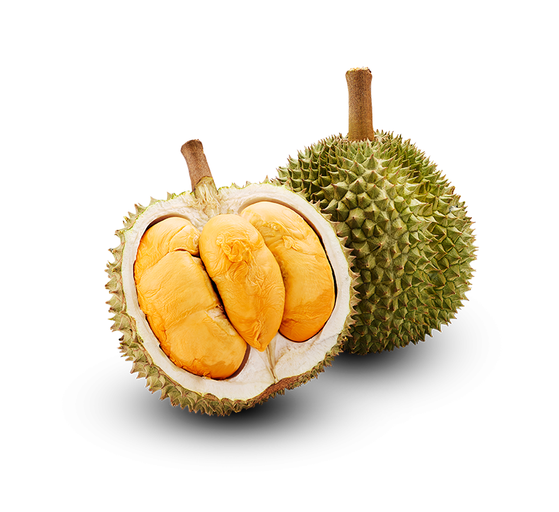 马来猫山王黑刺·新鲜榴莲整颗1.5-2公斤顺丰直邮到中国 Malaysia Whole Musang King Fresh Durian 1.5-2kg package Ship to China