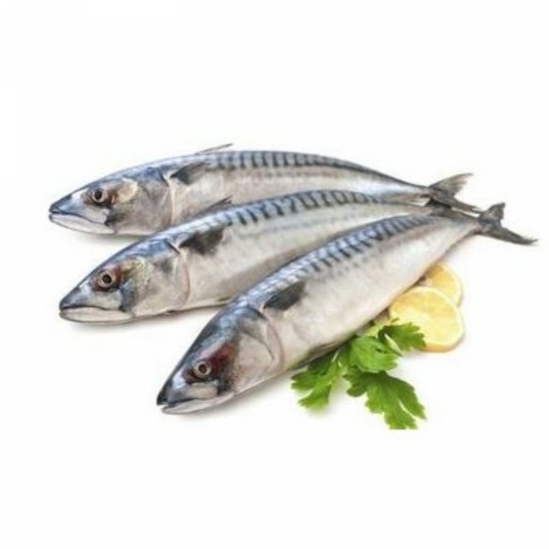 Ikan Tenggiri Yang Siap Bersih (1 ekor) ,Mackerel fish that is ready to clean (pc),馬鮫魚已经过处理干净