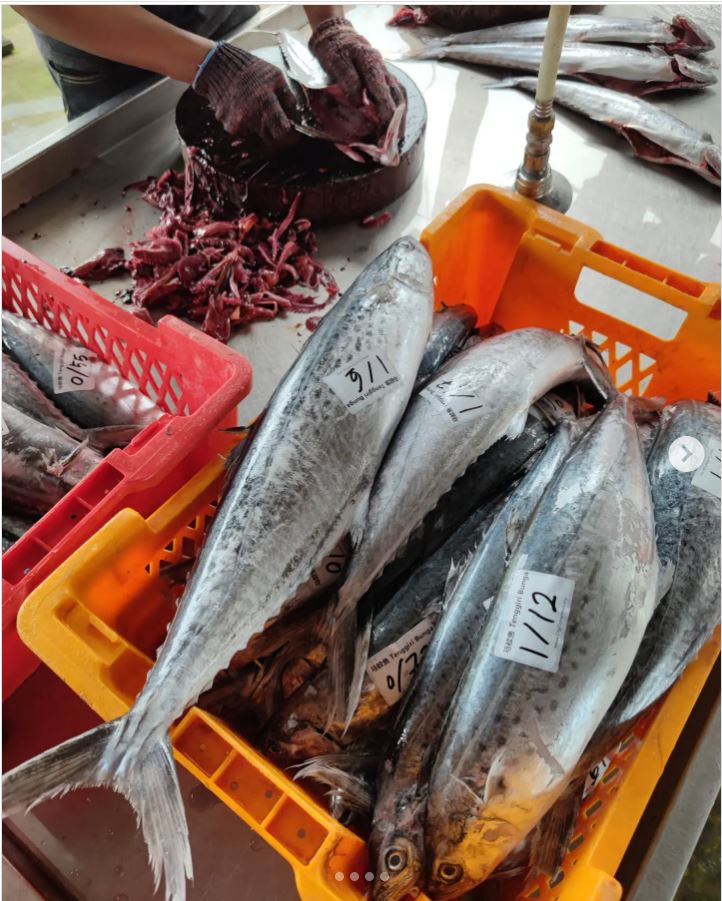 Ikan Tenggiri Yang Siap Bersih (1 ekor) ,Mackerel fish that is ready to clean (pc),馬鮫魚已经过处理干净