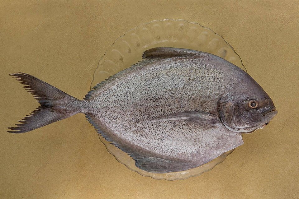 Freshness Bawal Hitam (B ) 大黑昌 1kg 清洗kj