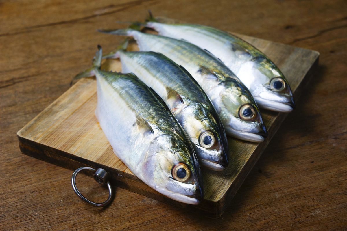 Freshness ikan kembung 500g / pack 甘梦鱼 (7-10 ekor)