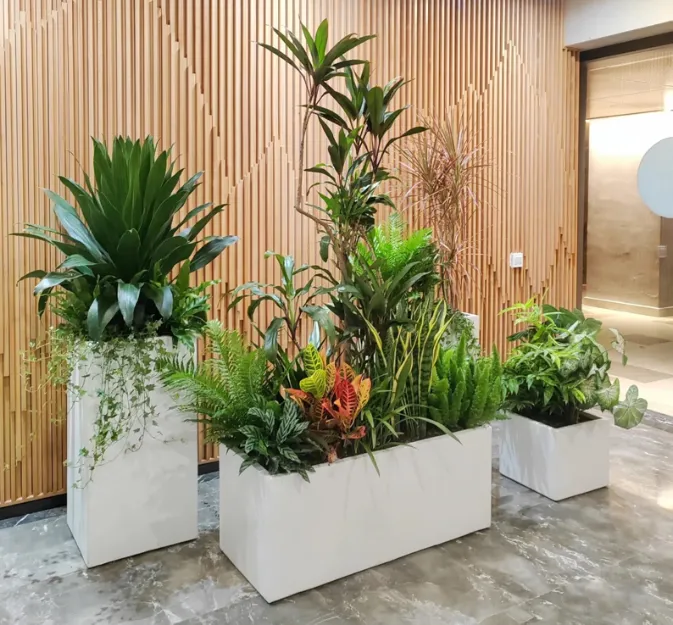 ผลิตภัณฑ์ยอดนิยม