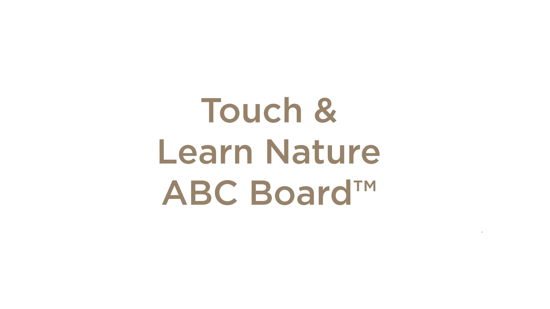 LeapFrog Touch & Learn Nature ABC Board