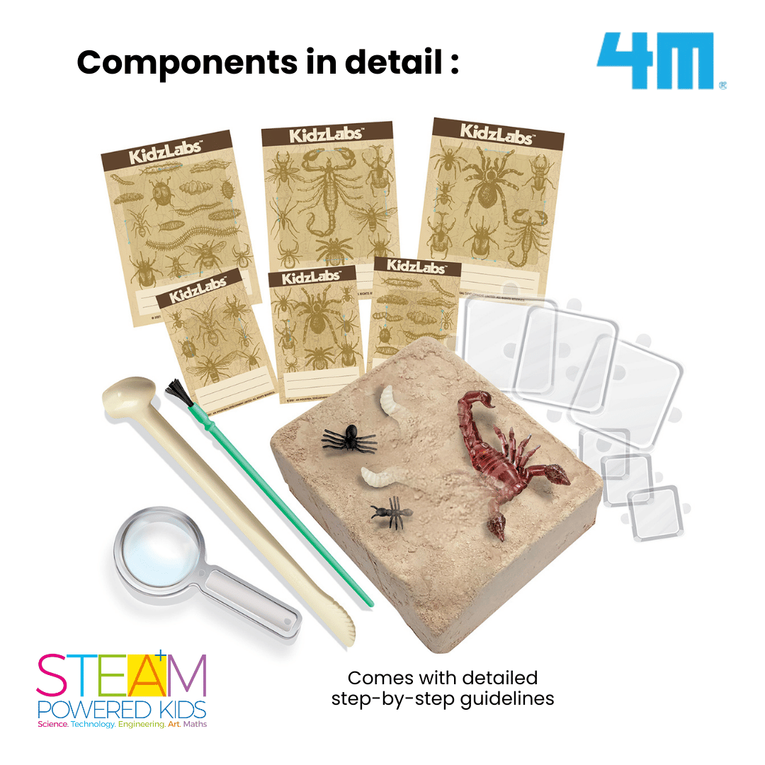 4M KidzLabs / Creepy Crawly Digging Kit