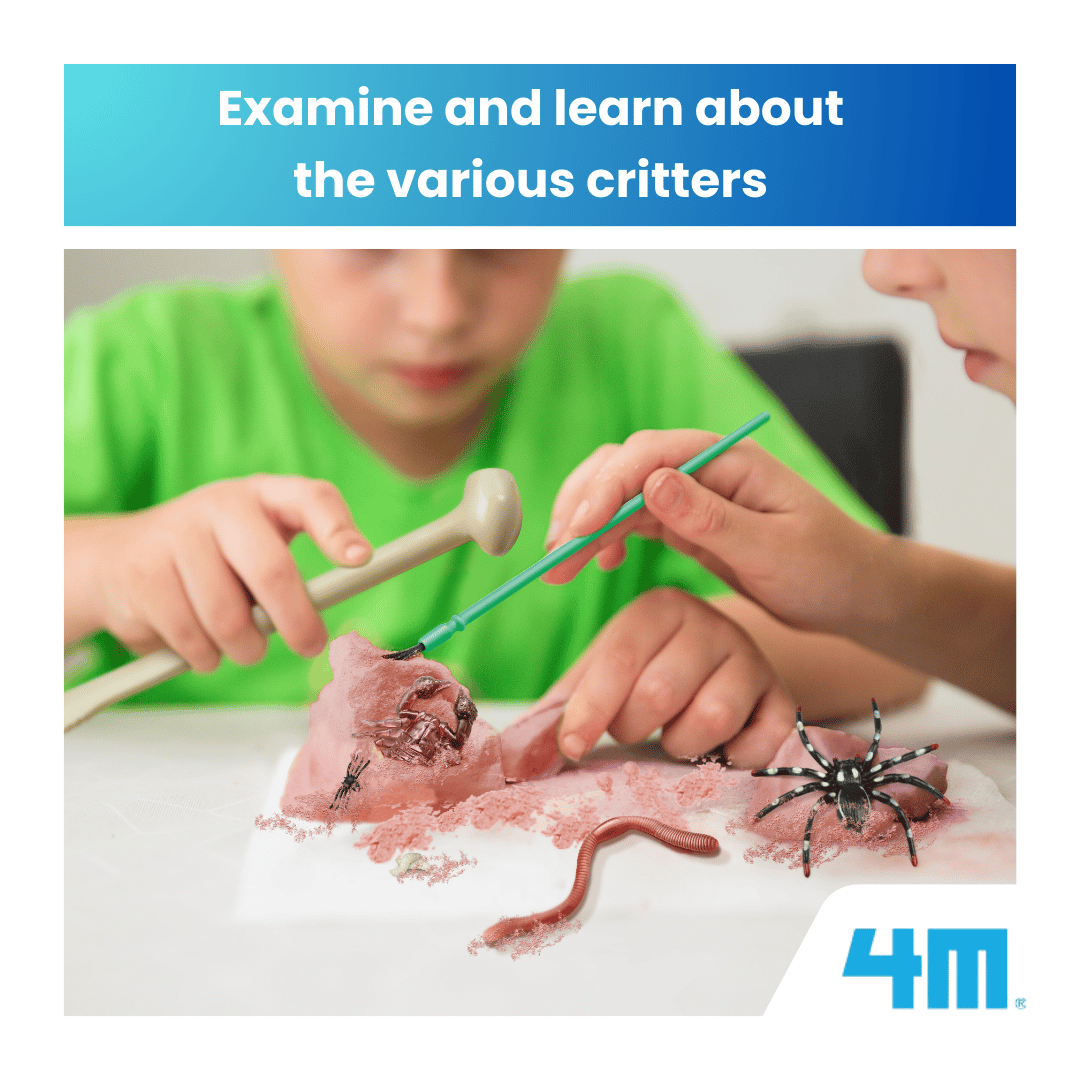 4M KidzLabs / Creepy Crawly Digging Kit