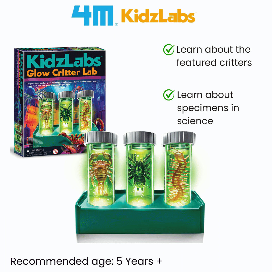 4M KidzLabs / Glow Critter Lab