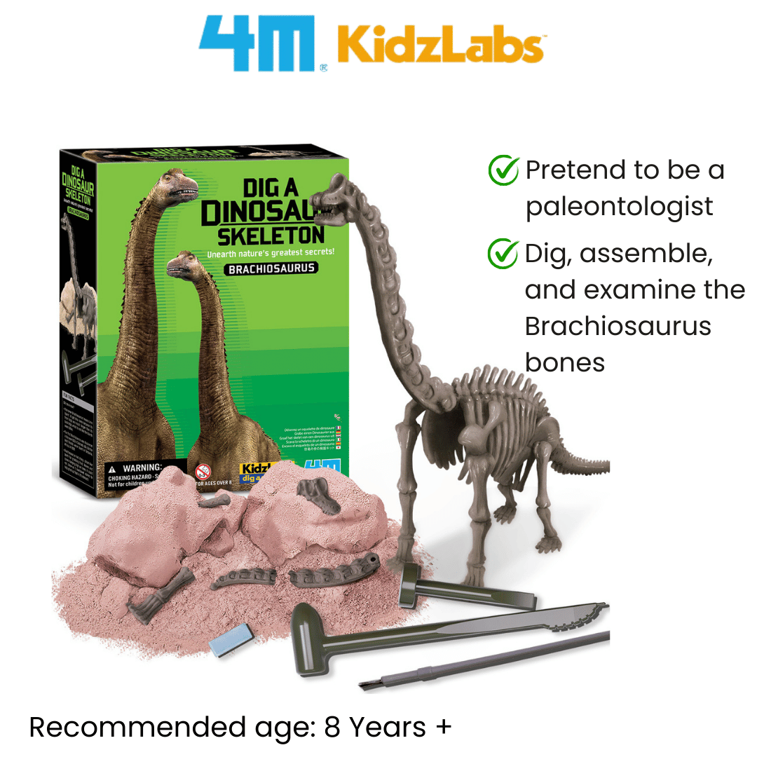 4M KidzLabs / Dig a Brachiosaurus Skeleton