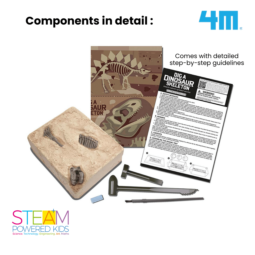 4M KidzLabs / Dig a Brachiosaurus Skeleton