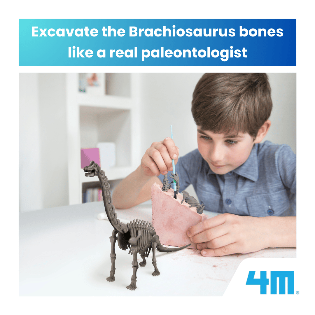 4M KidzLabs / Dig a Brachiosaurus Skeleton