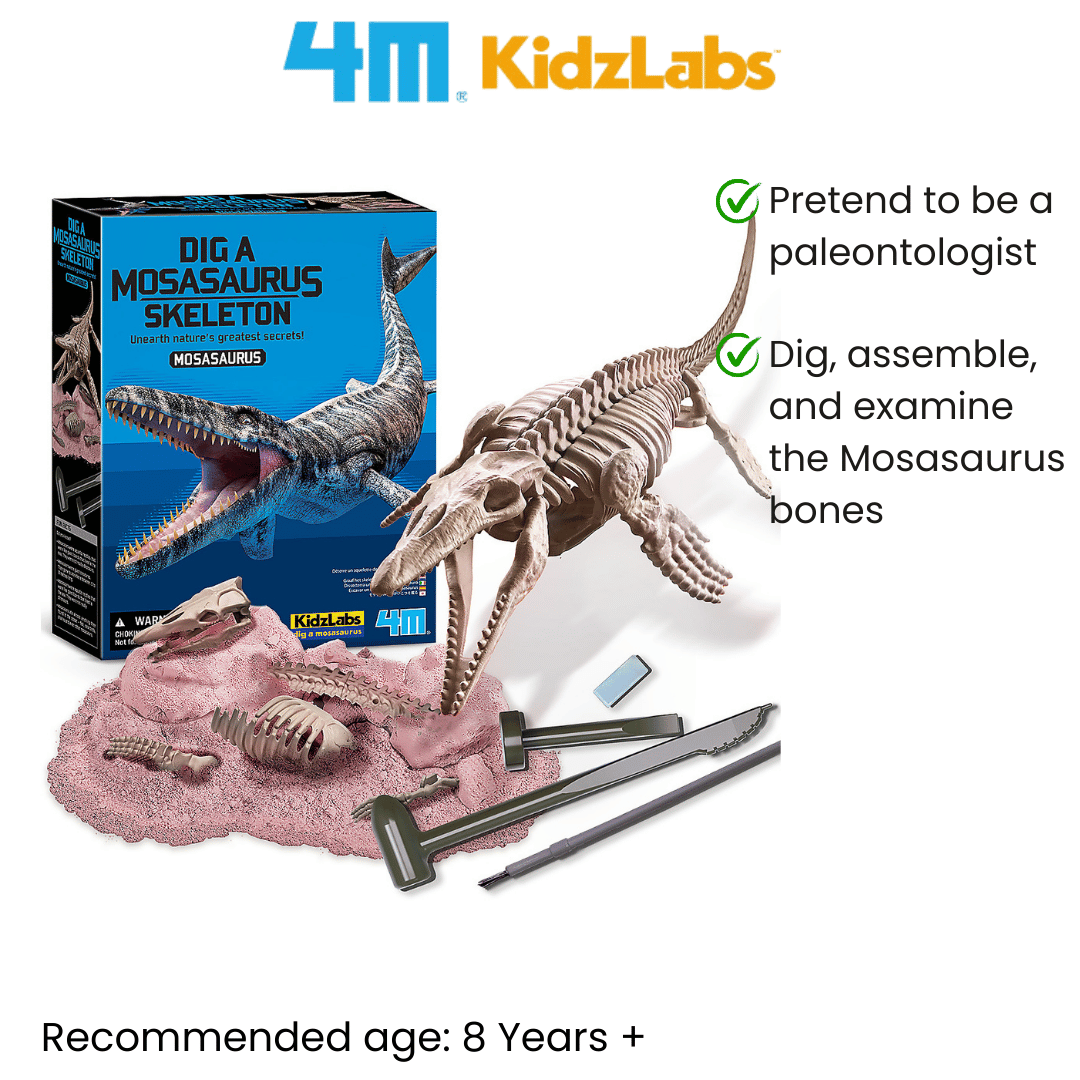 4M Steam Education Toys - KidzLabs / Dig a Mosasaurus Skeleton