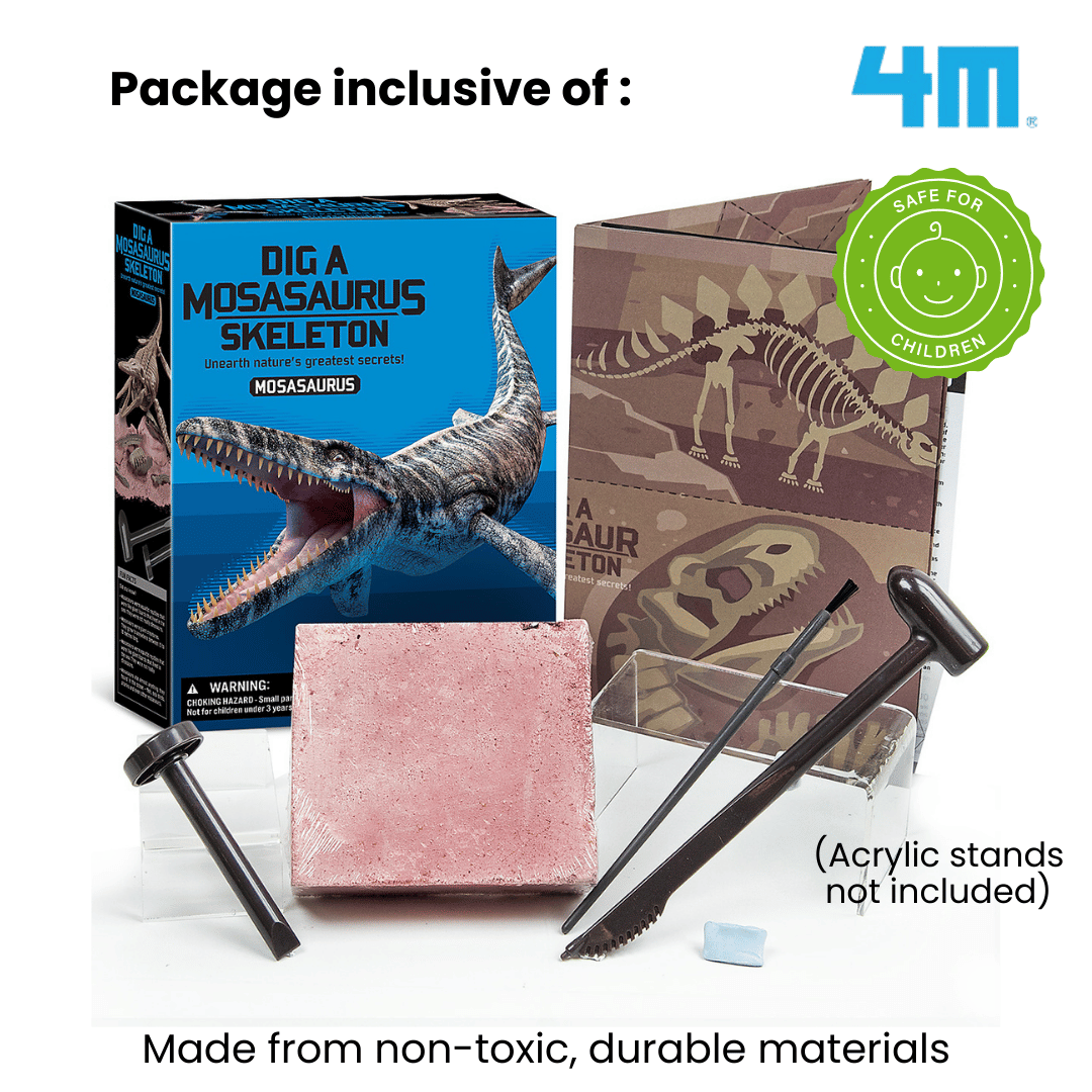 4M Steam Education Toys - KidzLabs / Dig a Mosasaurus Skeleton