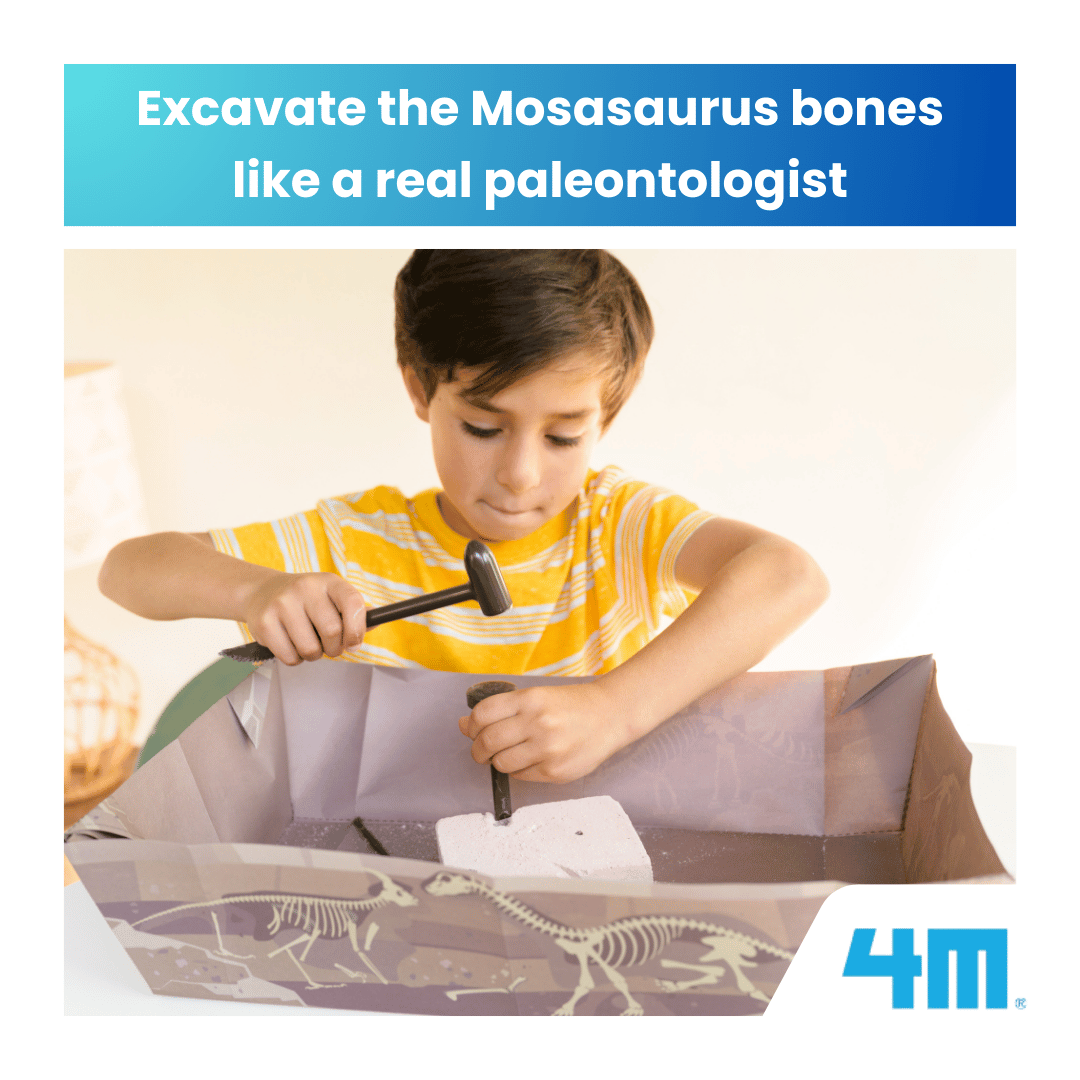 4M Steam Education Toys - KidzLabs / Dig a Mosasaurus Skeleton