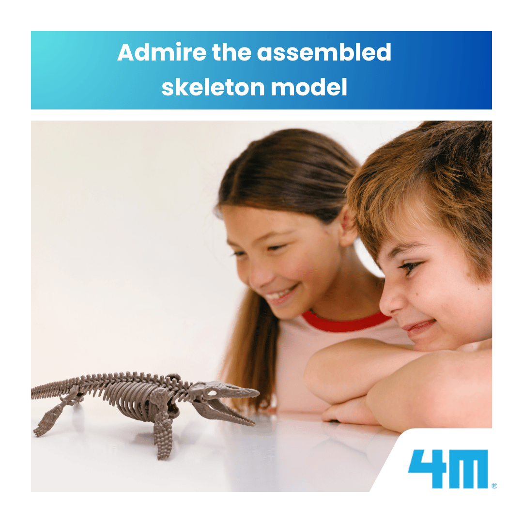 4M Steam Education Toys - KidzLabs / Dig a Mosasaurus Skeleton