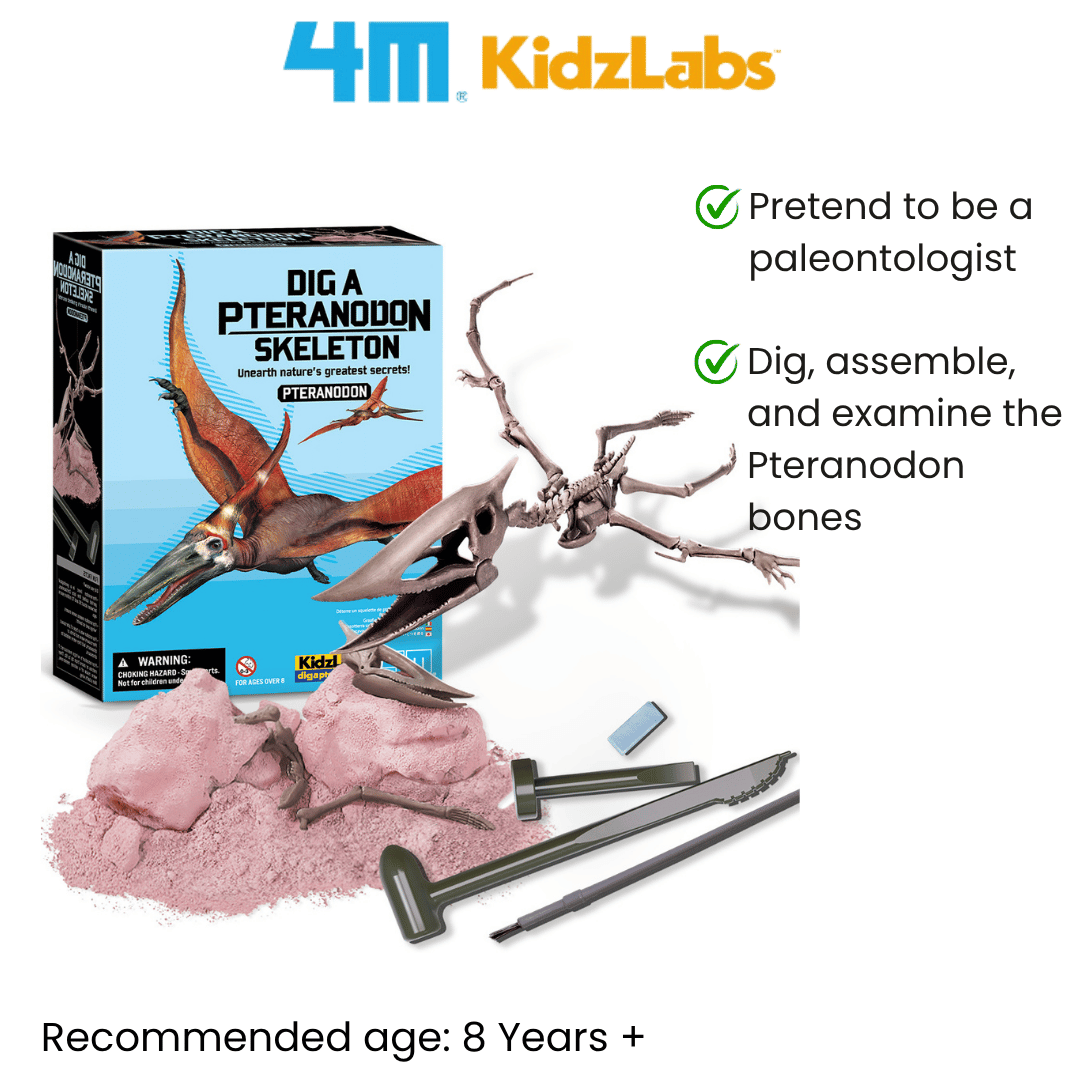 4M KidzLabs / Dig a Pteranodon Skeleton