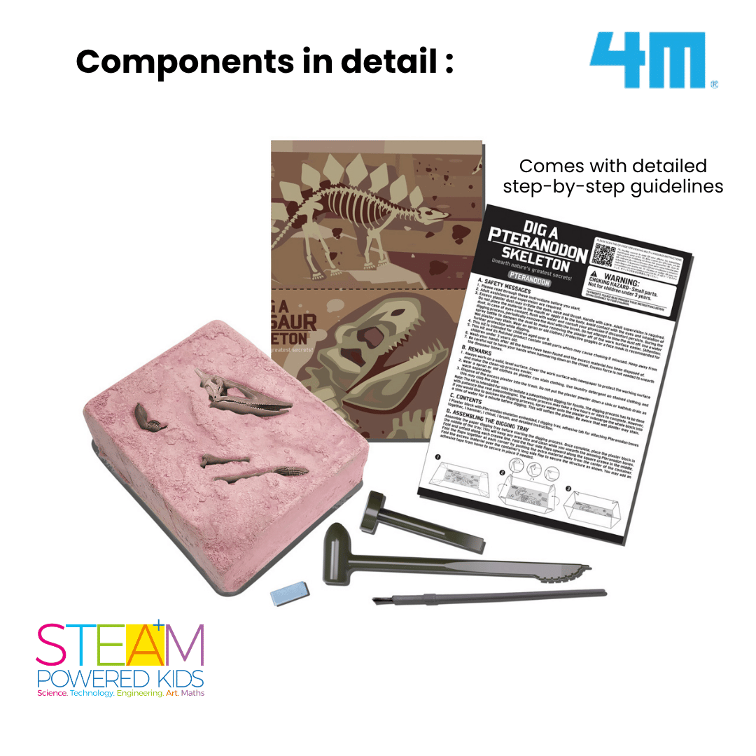 4M KidzLabs / Dig a Pteranodon Skeleton