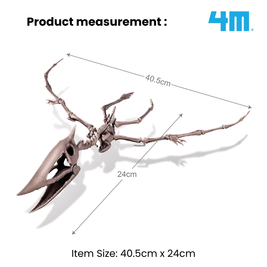 4M KidzLabs / Dig a Pteranodon Skeleton