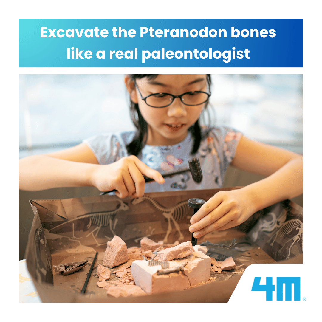 4M KidzLabs / Dig a Pteranodon Skeleton