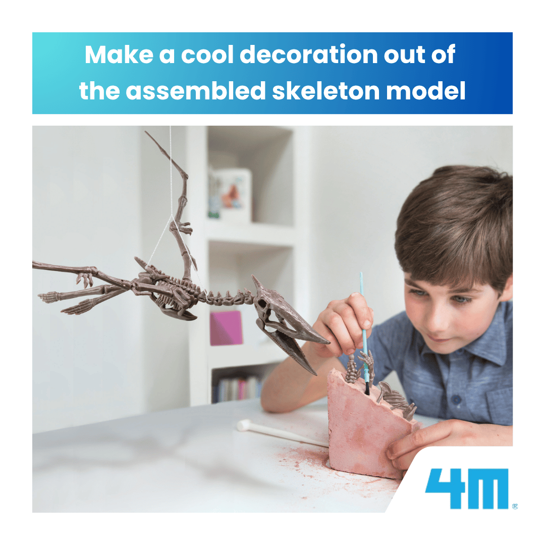 4M KidzLabs / Dig a Pteranodon Skeleton
