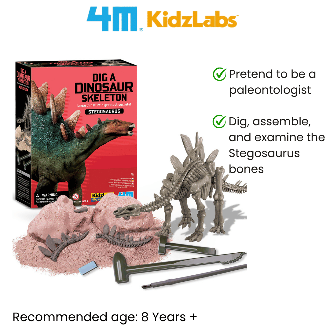 4M KidzLabs / Dig a Stegosaurus Skeleton