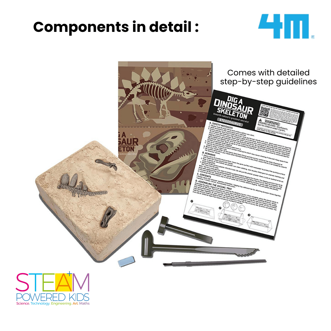 4M KidzLabs / Dig a Stegosaurus Skeleton