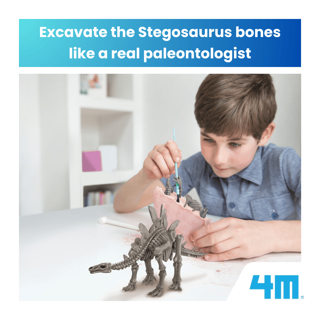 4M KidzLabs / Dig a Stegosaurus Skeleton