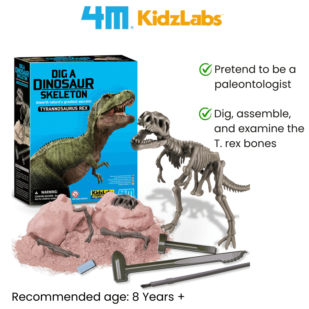 4M KidzLabs / Dig a Tyrannosaurus Rex Skeleton