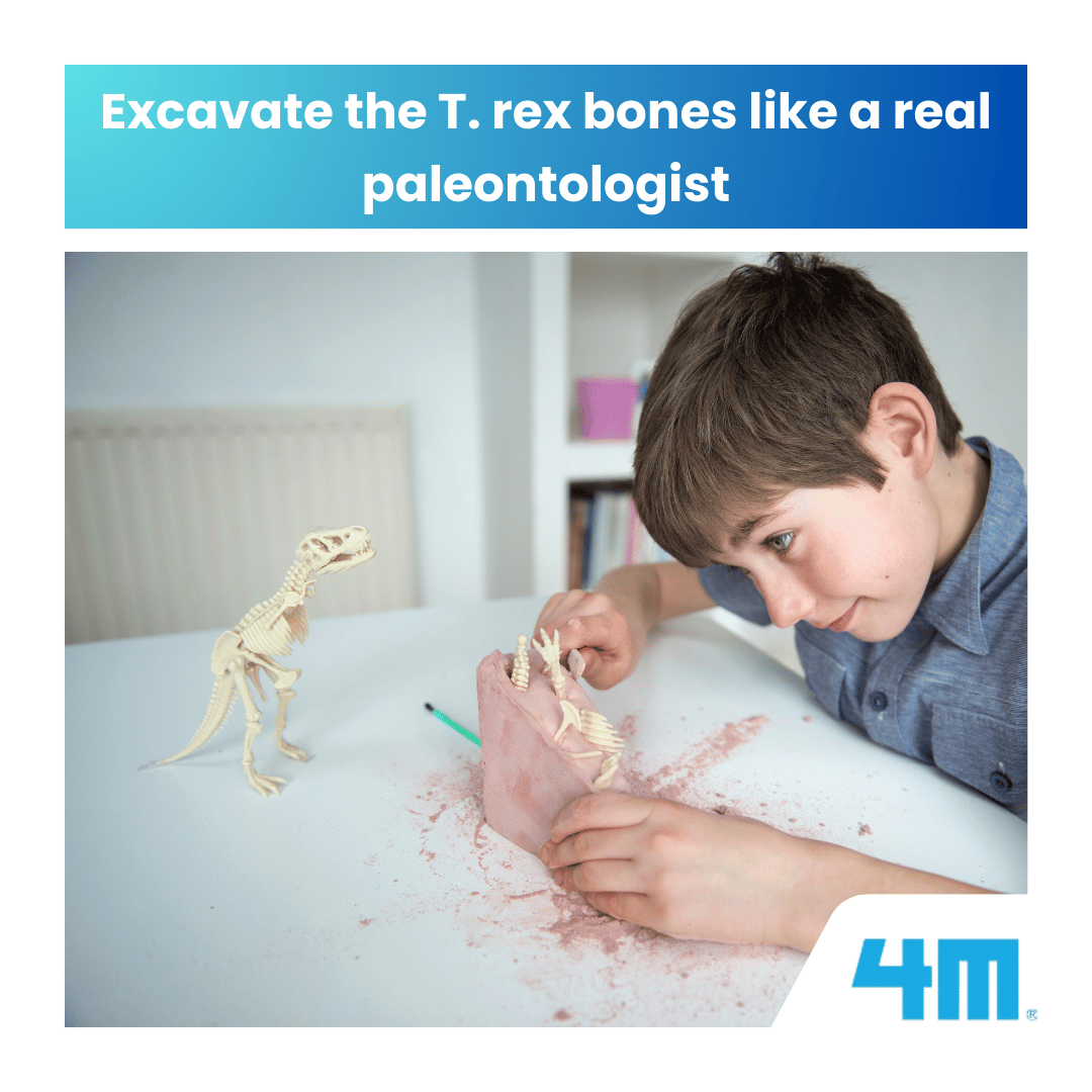 4M KidzLabs / Dig a Tyrannosaurus Rex Skeleton