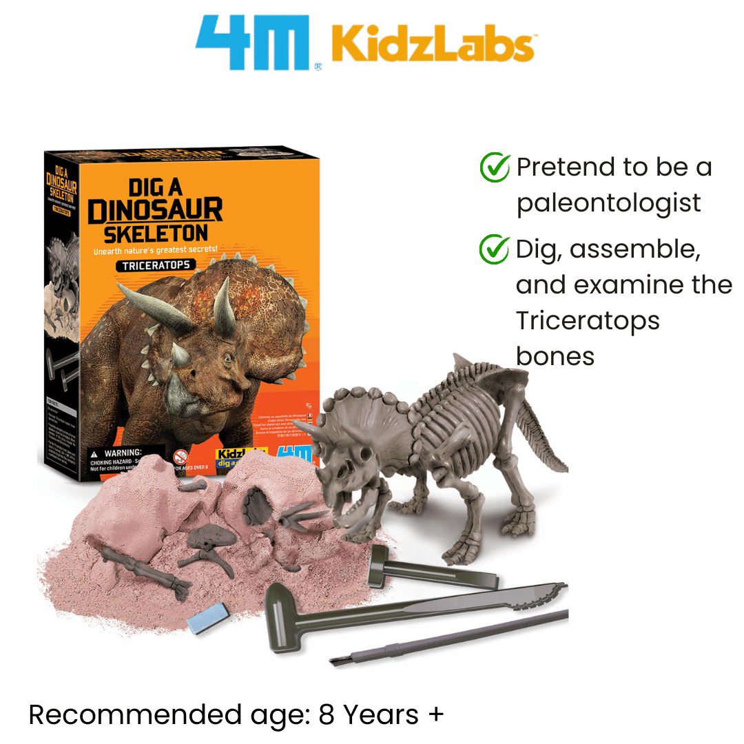 4M KidzLabs / Dig a Triceratops Skeleton