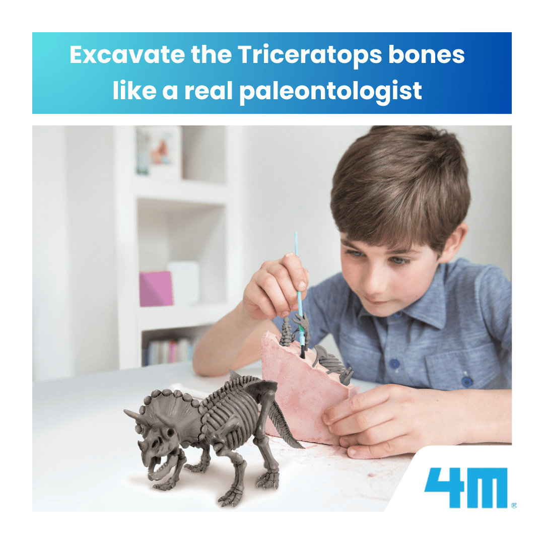 4M KidzLabs / Dig a Triceratops Skeleton