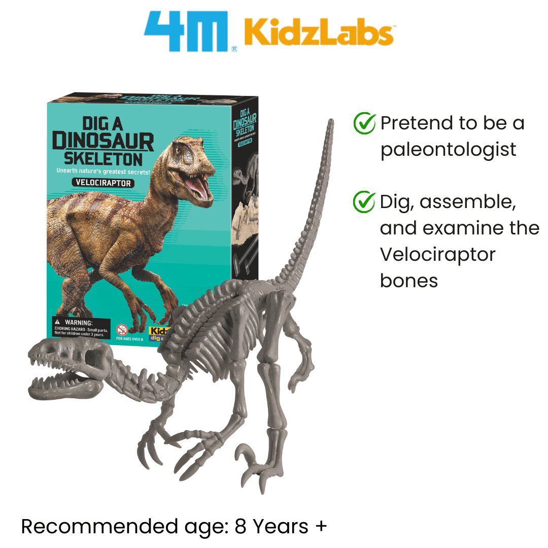 4M KidzLabs / Dig a Velociraptor Skeleton