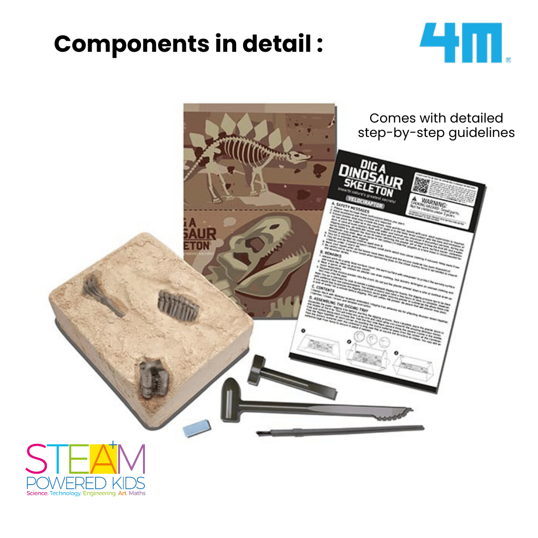 4M KidzLabs / Dig a Velociraptor Skeleton