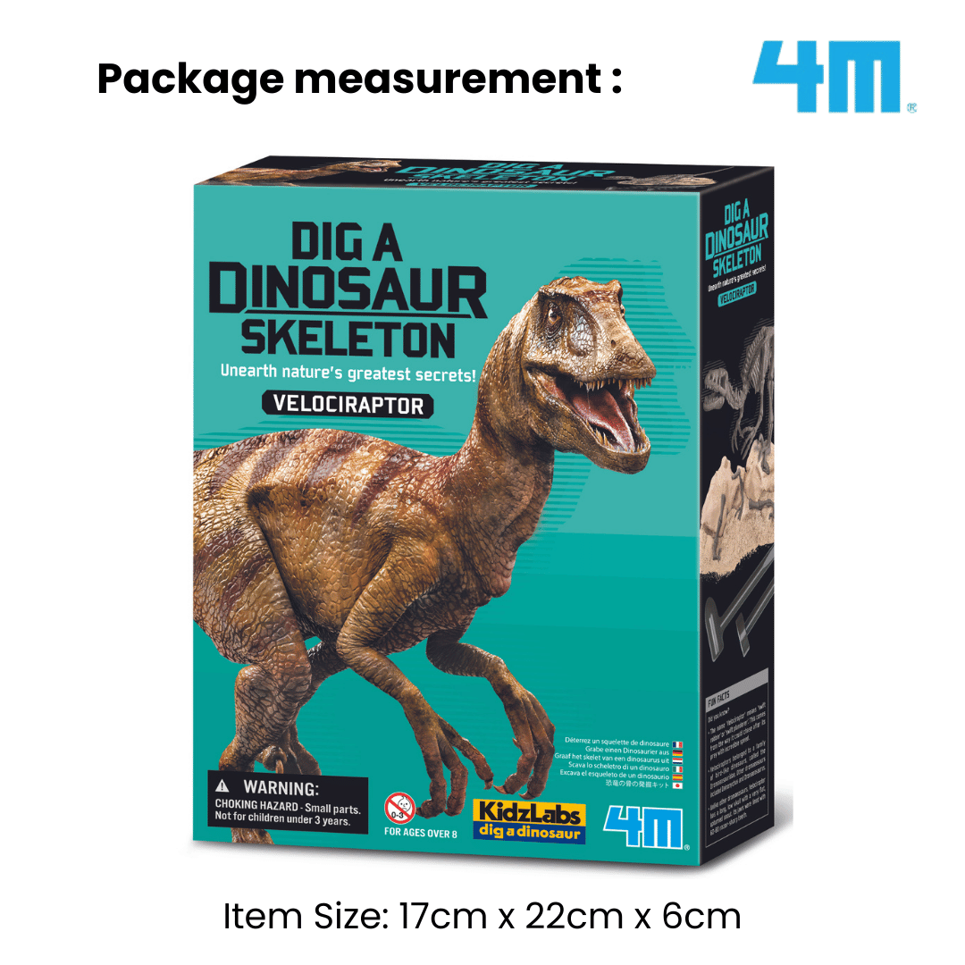 4M KidzLabs / Dig a Velociraptor Skeleton