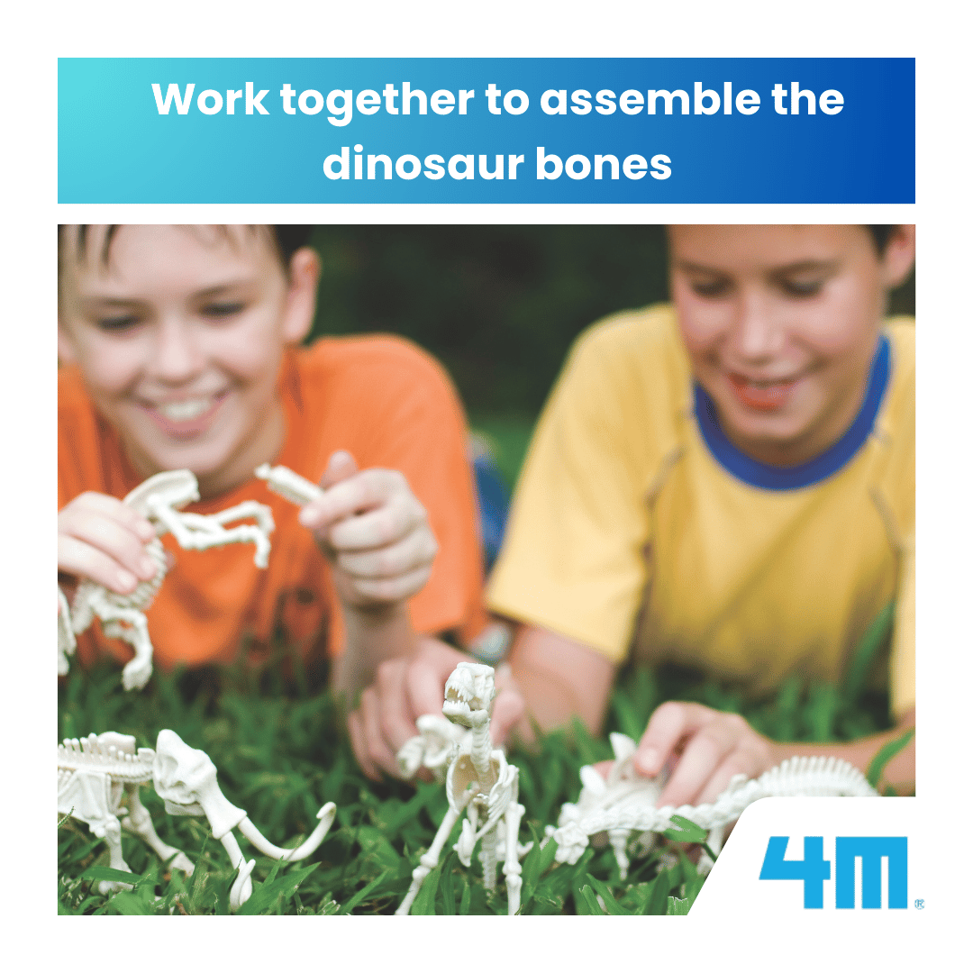 4M KidzLabs / Dig a Velociraptor Skeleton