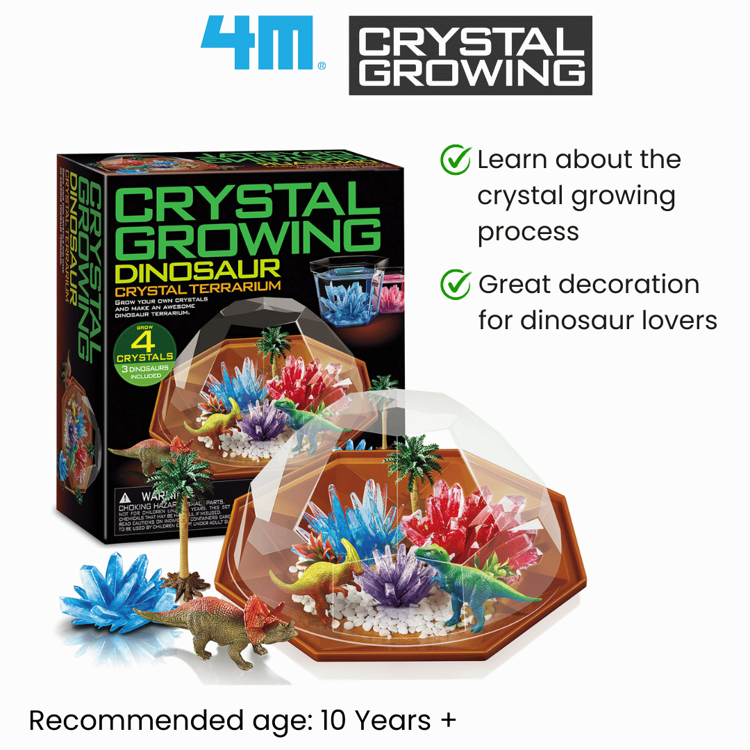 4M Crystal Growing / Dinosaur Crystal Terrarium