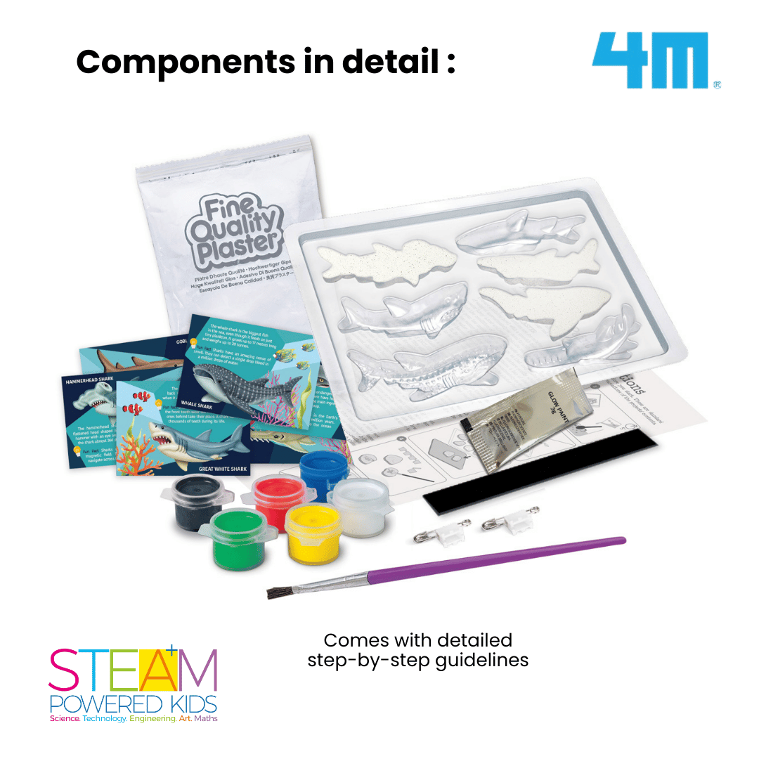 4M Mould & Paint / Glow Sharks