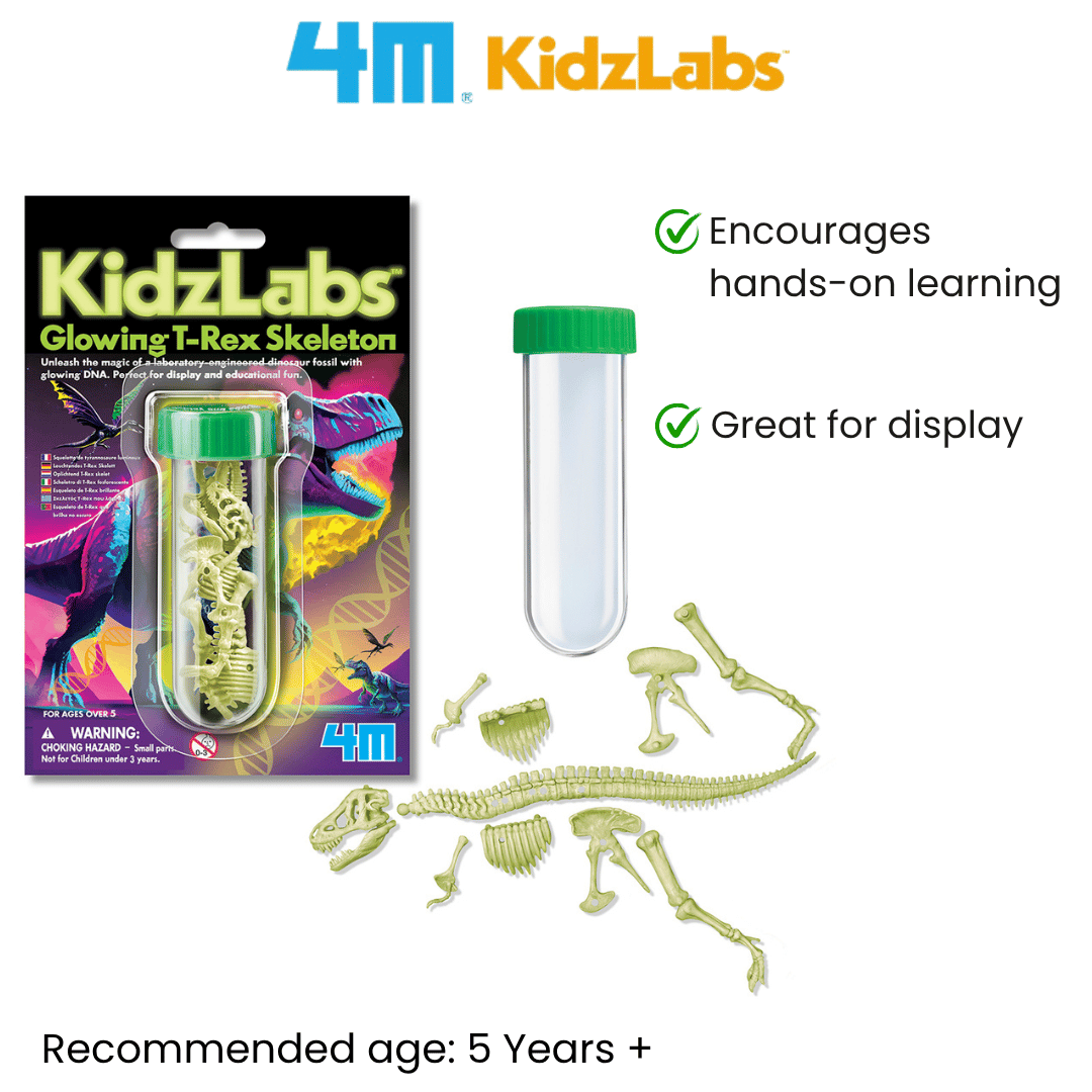 [NEW ARRIVAL] 4M Mini KidzLabs / Glow T-Rex Skeleton - STEAM Education Toys