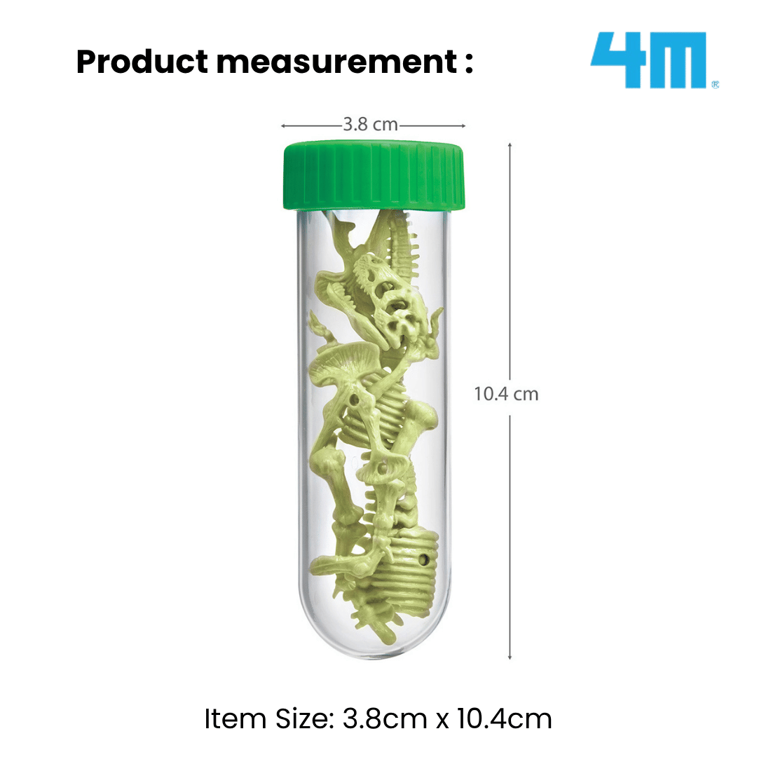 [NEW ARRIVAL] 4M Mini KidzLabs / Glow T-Rex Skeleton - STEAM Education Toys