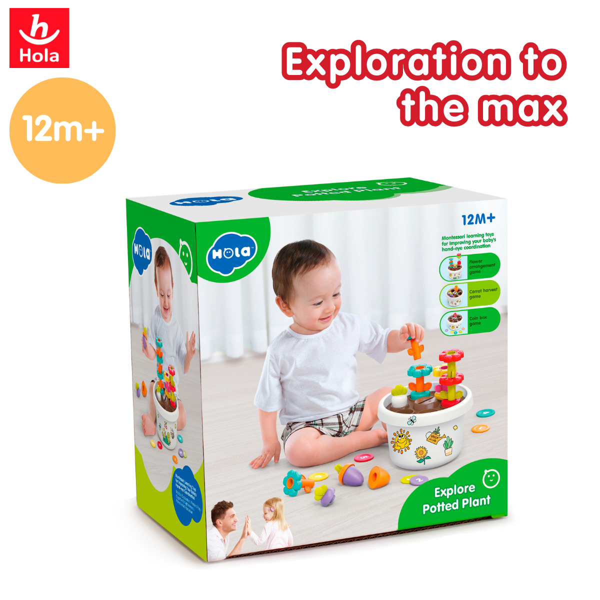 Hola Explore Potted Plant (Montessori Learning Toy)