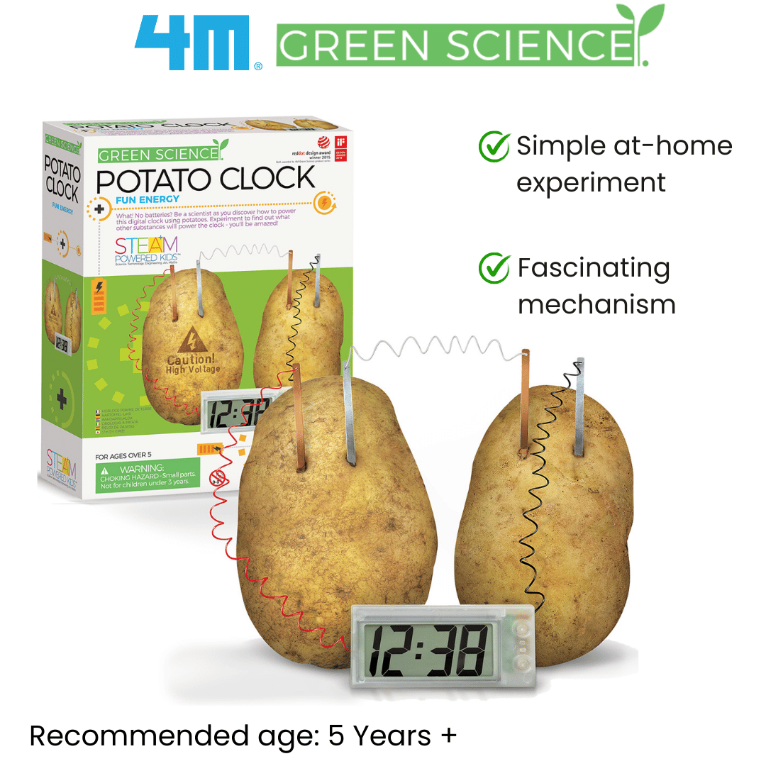 4M Green Science / Potato Clock