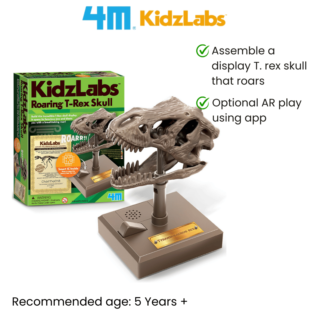 4M Steam Education Toys - KidzLabs / Roaring T-Rex Skull
