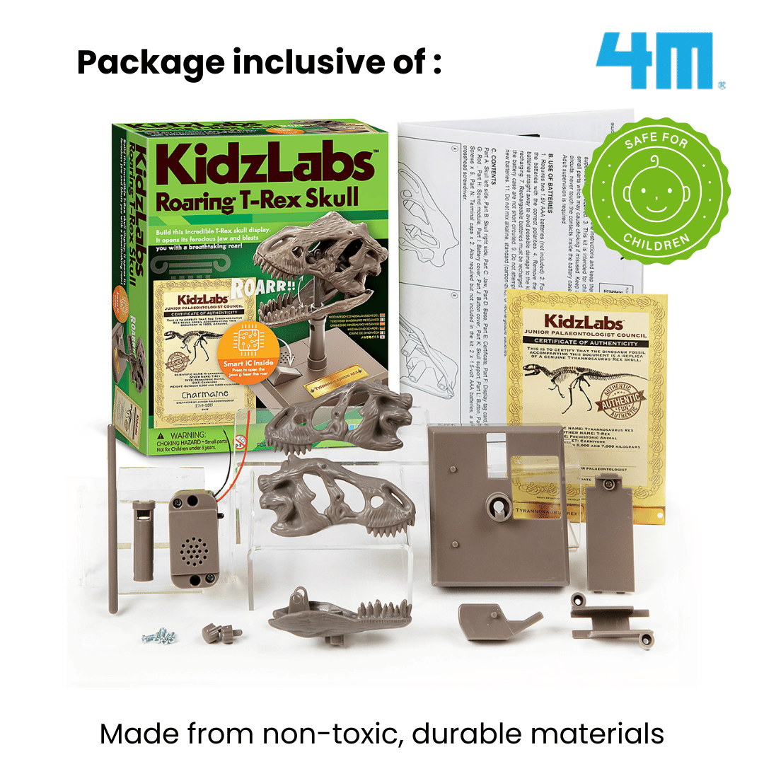 4M Steam Education Toys - KidzLabs / Roaring T-Rex Skull