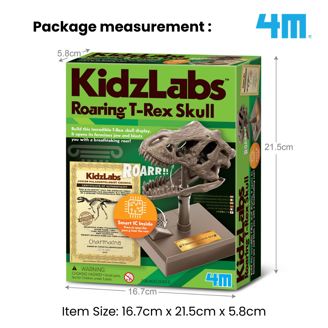 4M Steam Education Toys - KidzLabs / Roaring T-Rex Skull