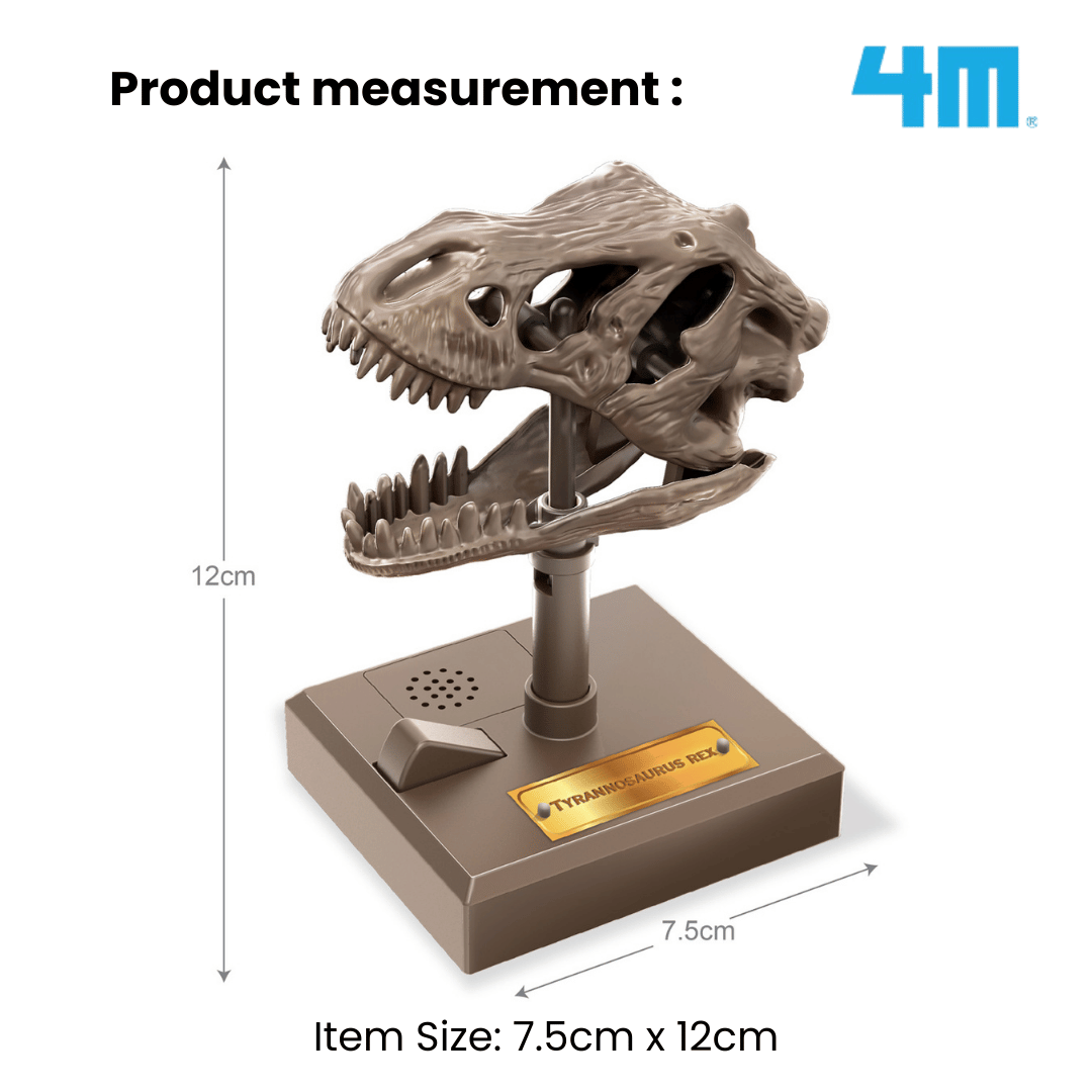4M Steam Education Toys - KidzLabs / Roaring T-Rex Skull