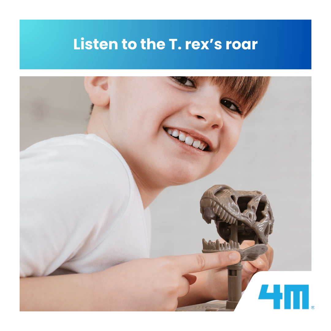 4M Steam Education Toys - KidzLabs / Roaring T-Rex Skull